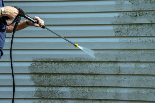 Professional Pressure Washing Services in Bonsall, CA